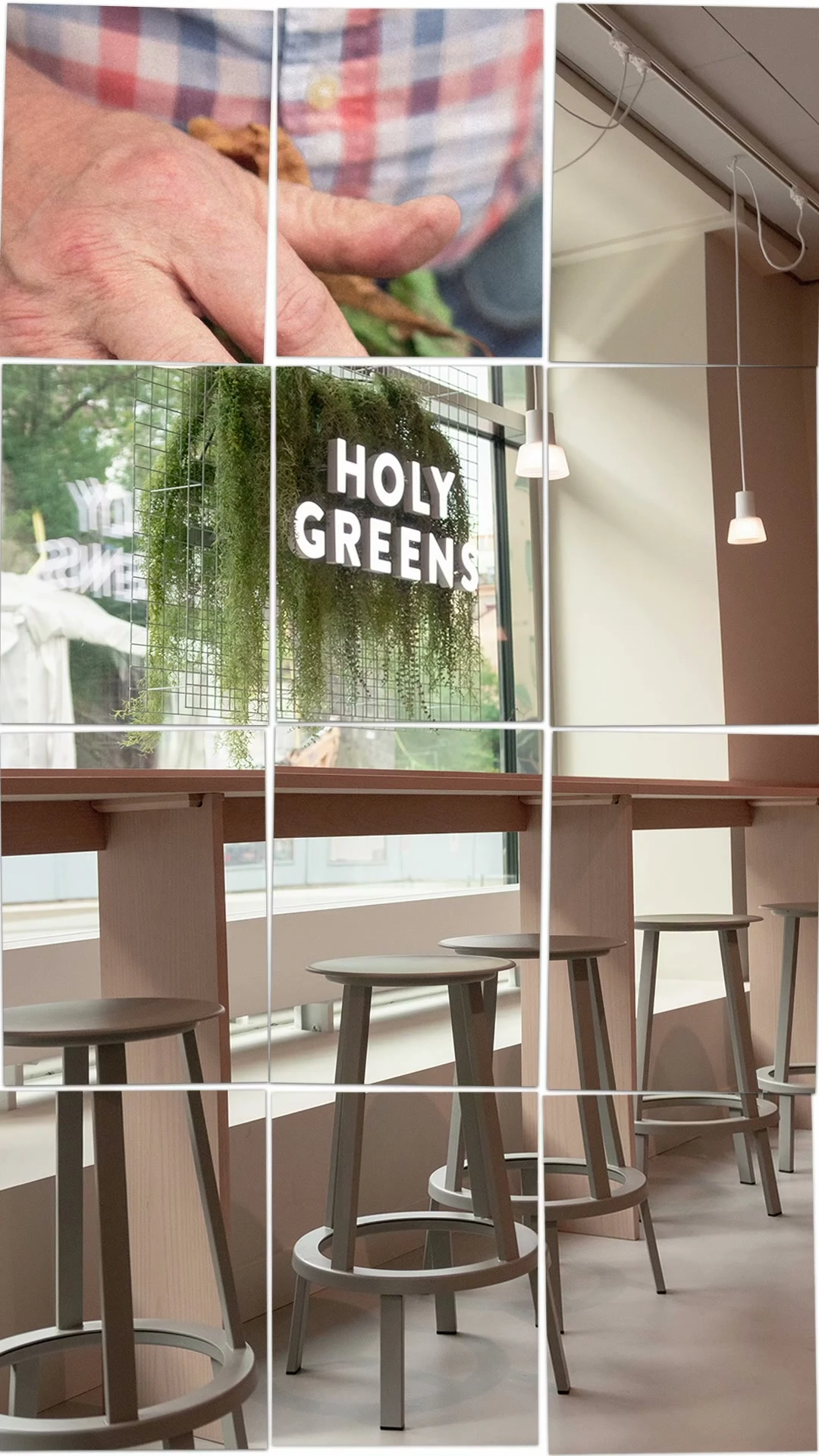 Holy Greens collage
