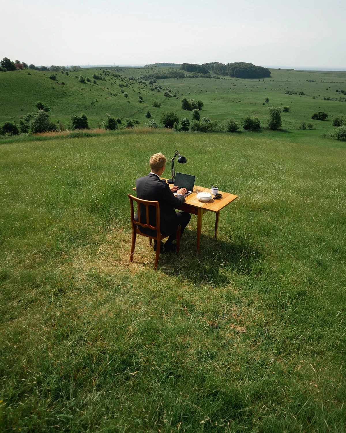 David in the landscape
