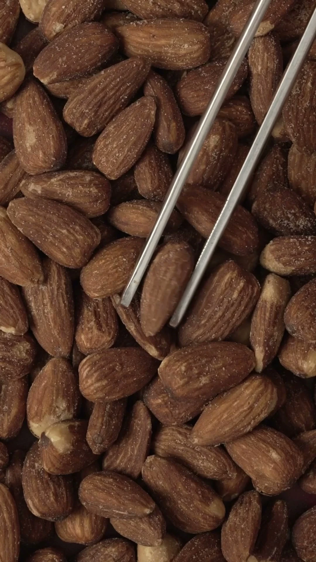 Almonds motion study