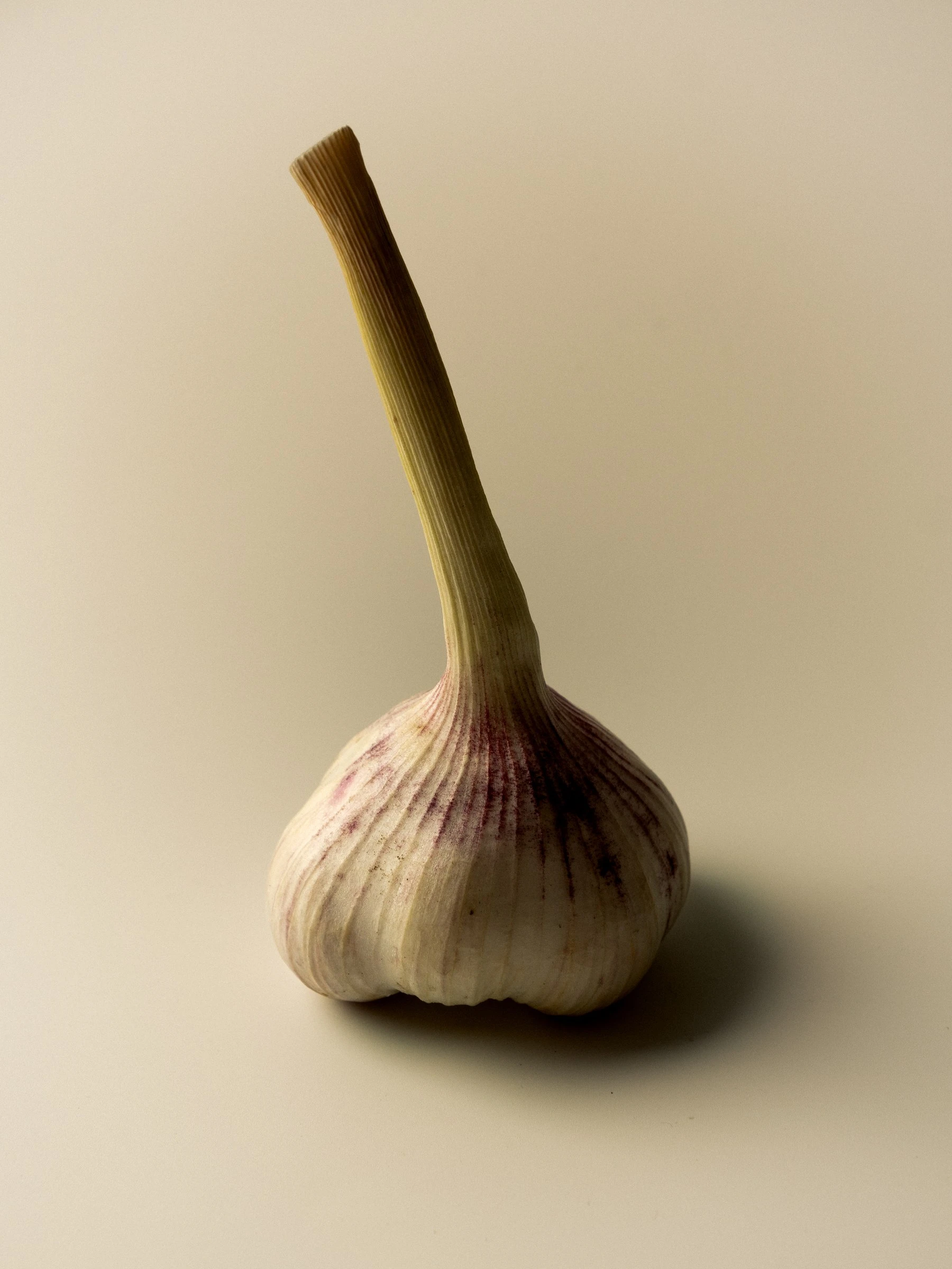 Garlic still life